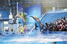 合肥海洋世界二期海豚馆预演 2月开放图片