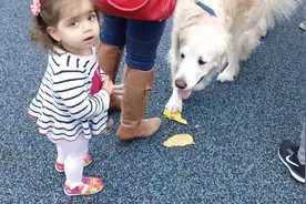 小萝莉在游乐园遇见狗狗，想靠近又害怕的模样好可爱！视频封面