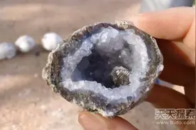男子海边捡到椭圆形的石头 一夜暴富令人称奇图片