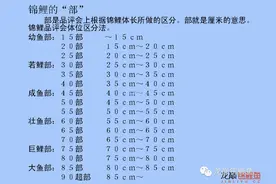 鱼体长单位“部”的正确解释图片