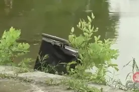 国外恶搞：美女骑车掉下东西，路人反应让人暖心，网友：故意的！视频封面