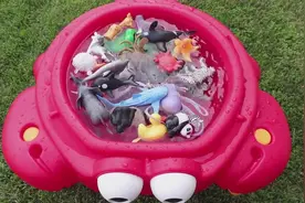 幼儿益智玩具，螃蟹澡盆里的儿童玩具学习动物园动物的名字视频封面