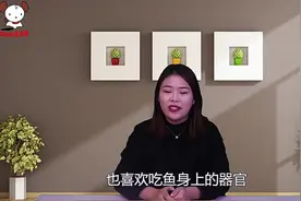 爱吃鱼的人注意了，鱼身上的这几个部位是不能吃的，快看看吧！视频封面