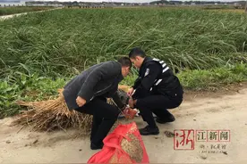 衢州衢江：寒天路边躺着一名只穿单衣的女子！她是谁？图片