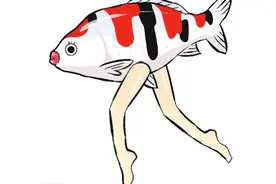 河东公园人工湖再现神鱼，外来物种何时休？图片