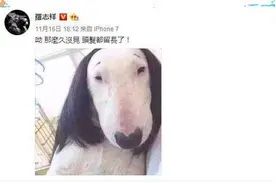 “碧石”梗被玩坏，没想到你们是这样的孙红雷罗志祥图片