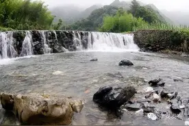 20年，淳安这个曾经最偏远闭塞的小山村成了“绿富美”图片