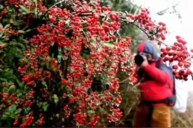 看！广西又下雪了！近期还有冷空气南下影响？！图片