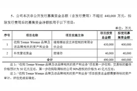 为了抱回Teenie Weenie这只韩国熊 维格娜丝准备募资44亿元图片