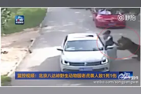 遇虎袭女子道歉 称希望下辈子妈妈还和自己在一起图片