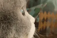 假装看不见他在偷偷拍你，这小小的心机我懂！图片