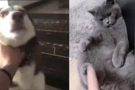 抖音搞笑配音合集，你个杠精，老子说那样你都要反驳