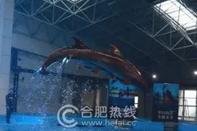 合肥海洋世界二期海豚表演馆今日盛大开馆图片