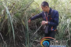 海口7旬老太死亡之谜：失踪1年后尸骨在荒地被发现图片