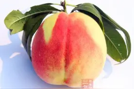 桃子毛不能吃吗 桃子营养与功效图片