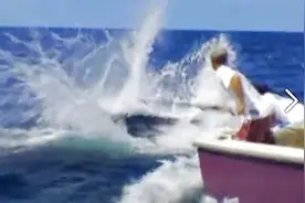 钓大鱼世界上最大的鱼马林鱼洗鳃图片