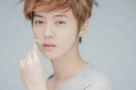 鹿晗加盟春晚 粉丝纷纷力荐唱《勋章》图片