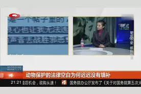 动物生命屡受侵害，为何保护的法律空白迟迟未填补视频封面