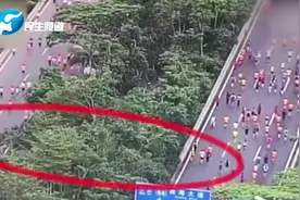 官方确认深圳南山半马集体抄近道：违规人数多，查清后绝不姑息视频封面