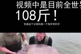 #钓鱼 世界钓鲤最高记录，108斤巨鲤！！！视频封面