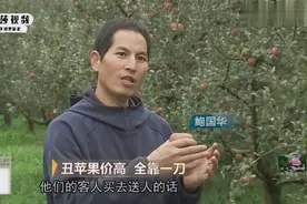 浙江做茶叶生意的老板，意外发现云南苹果才1元1斤，决定投资种植视频封面