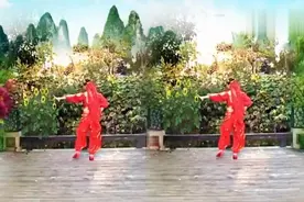 开心果广场舞印度最新藏歌