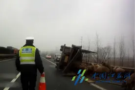 春运路上“囧事”多 拉猪车侧翻猪乱跑图片