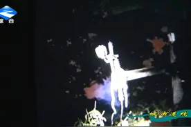 菜花蛇爬上高压线 导致周围多栋楼房停电视频封面