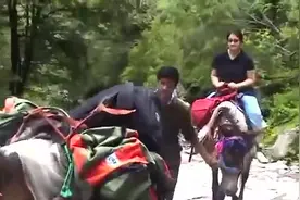 看看骑骡子进山的美女，好想体验一把视频封面