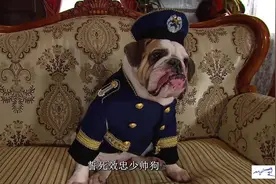 狗的官职都比你们的高