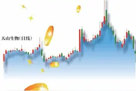 揭秘股市游资“温州帮”图片