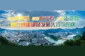 玉屏（大龙）代表团热议市党代会工作报告图片