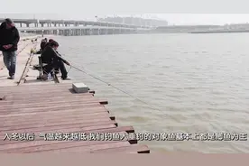 钓鱼老手能钓到冬天的鲤鱼，只因用了这么一个鱼饵配方，不妨一学视频封面