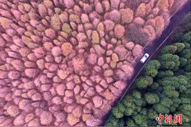 2016年这些四季自然美图震撼你的心灵图片