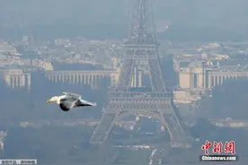 雾霾月内三袭巴黎 市长呼吁再次“限号出行”图片