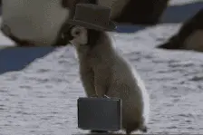 从贵阳北站到花果园只要7分钟？怎么走？快戳进来看！图片