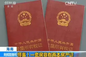 追踪｜法院颁出“一房两证”，尴尬局面如何收场……图片