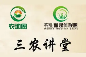 农村新增人口无地怎么办？视频封面