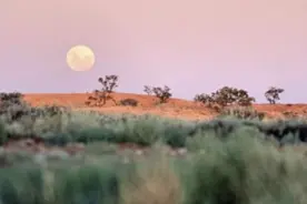 表面荒凉无比，底下别有洞天，盛产的是钻石！视频封面