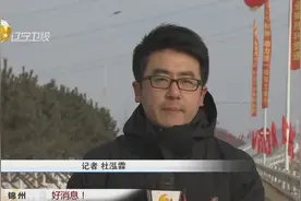 辽宁中部环线高速全面贯通，为区域经济发展提供更好交通保障视频封面