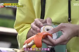 RM：李光洙用香蕉皮和橘子皮折成飞机，导演组看到都笑了视频封面