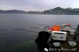 钓鱼“黑话”知多少？图片