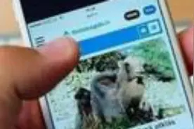 用iPhone手机遇到不会拼的字怎么办？图片