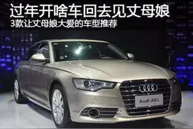 过年回家，开啥车去见丈母娘最有面子？图片