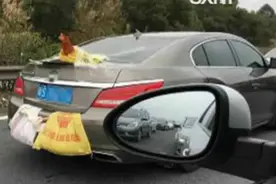 广东：两鸭一鸡成网红 被挂后备箱上高速视频封面