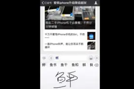 用iPhone手机遇到不会拼的字怎么办？图片