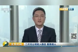 央视解读二次元概念 评国漫产业：缺乏高质量内容但空间巨大图片