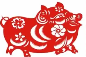 生肖猪男与生肖蛇女的配对婚姻视频封面