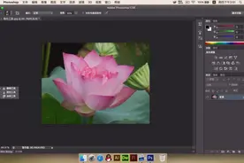 觉得图片不够清晰色彩不够明显?锐化工具帮你搞定