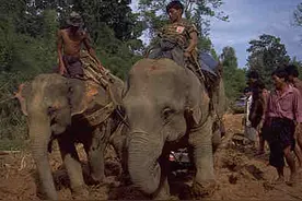 翡翠原石要点与翡翠赌石技巧图片